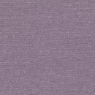 Allium