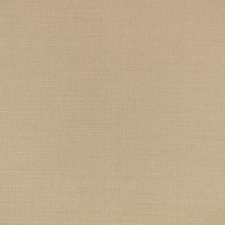 Almond
