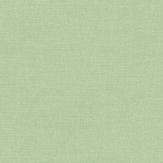 Aloe