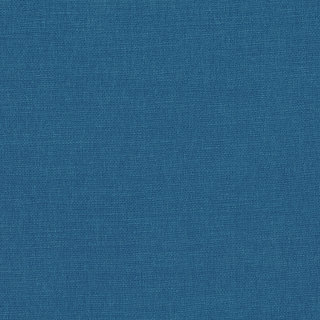 Bilberry