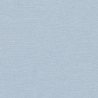 Iceberg