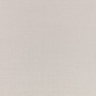 Jicama