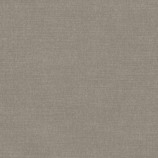 Moleskin