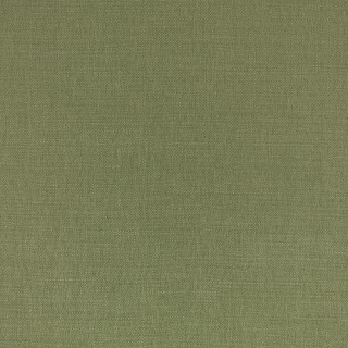 Moss