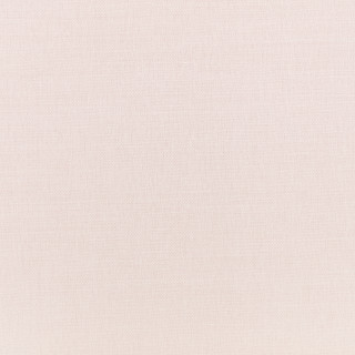Plaster