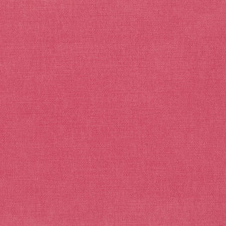 Raspberry