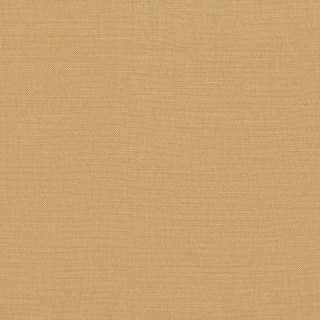 Safari