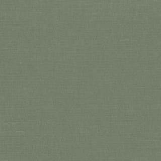 Spinach