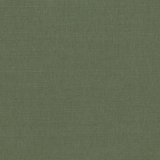 Tarragon