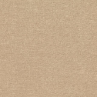 Teak